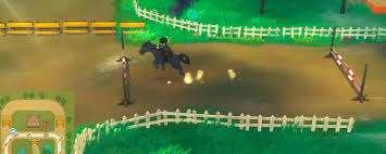 牧场物语：风之繁华集市夏季玩法全攻略——如何在夏季精彩畅玩