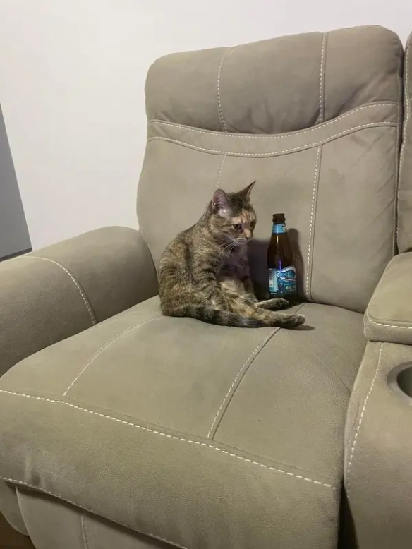 看来日本确实存在类似题材的内容——囧图，长得漂亮居然真被当饭吃。
