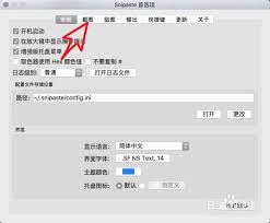 如何在Snipaste中设置图片的颜色表现方式——配置截图时的色彩风格指南