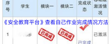 如何在安全教育平台上查阅自己学习完成的记录—详细操作指南