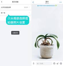 如何调整蝙蝠聊天的背景设置-蝙蝠聊天背景的具体修改方法