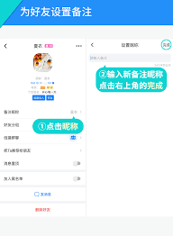 如何调整蝙蝠聊天的背景设置-蝙蝠聊天背景的具体修改方法