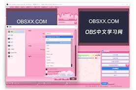 如何配置OBS的主题？—OBS主题设置详解
