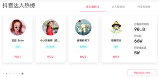 抖音巨量星图主要的职责与功能是什么？它在抖音平台中扮演着怎样的角色？