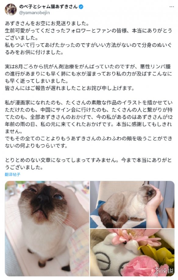 备受喜爱的漫画表情包“小豆泥”原型宠物离世，主人发长文表达感激与怀念