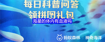 海星内部是否包含血液？-关于海星体内血液存在与否的探究