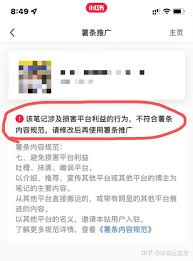 关于加快小红书内容审核的时间——提升审核效率的方法解析