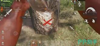 如何进行失控进化的开荒攻略——有效开启你的探索之旅