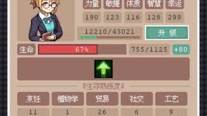 废土新世界的起步阶段如何打好基础——初期开局的策略解析
