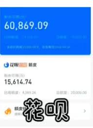 如何在支付宝中成功点亮个人资料中的13颗星？-支付宝怎样激活个人信息界面上的13颗星星