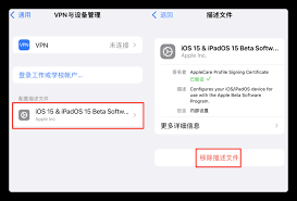 如何将设备系统升级至iOS 15及其具体操作步骤

