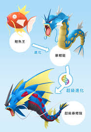 宝可梦传说ZA御三家进化全解析——御三家角色及其进化形态详尽介绍
