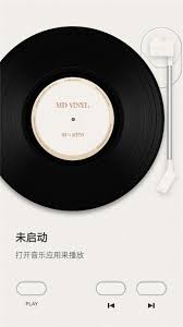 谜底黑胶的使用指南—详细操作步骤详解