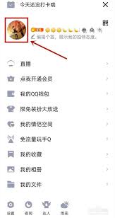 如何在QQ音乐平台上查找歌曲的“年龄”信息——探索音乐的年代标识与背后故事