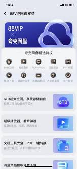 夸克SVIP与88VIP的核心差异在哪里？- 夸克SVIP和88VIP之间存在哪些不同之处？
