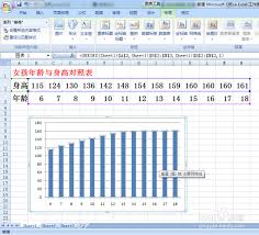 如何在Excel 2007中绘制柱形图—步骤详解