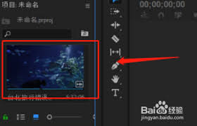 Pr软件中如何添加视频缩略图——详细操作指南
