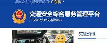 如何在交管12123平台上查看交通违法的照片——详细操作指南