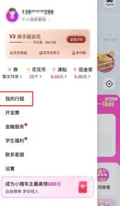 如何查看花小猪打车的行程记录？在哪里可以找到这些详细的出行信息？
