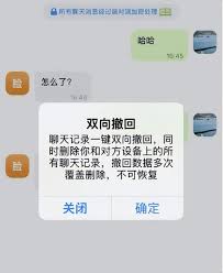关于如何撤回蝙蝠消息的详细操作指南-蝙蝠即时消息中进行消息撤销的方法解析
