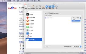 Safari浏览器频繁弹出通知请求，如何有效解决——Safari使用时总出现通知弹窗的应对策略