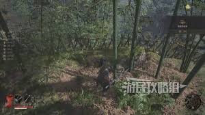 关于如何获得明末渊虚之羽海寇套装的详细方法——一份全面的获取指南

