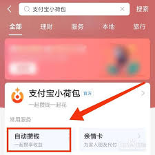 如何操作支付宝小荷包实现转账——详细指南