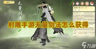 射雕中，无量神剑十重的具体效果包括哪些方面？-射雕无量神剑十重带来的效果具体表现有哪些
