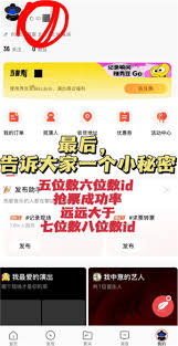 如何在秀动平台成功购票——秀动抢票技巧详解
