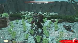 关于羊蹄山之魂中恶人忠明的具体位置在哪——你可以在哪里找到他？
