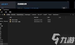 关于《匹诺曹的谎言》游戏存档的具体位置—这里为您详细整理全方位的解析 关于《匹诺曹的谎言》游戏存档的具体位置—这里为您详细整理全方位的解析
