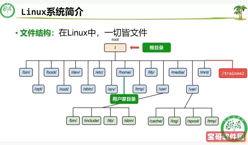 深入理解Linux中文件类别的识别方法，轻松辨别各种不同的文件格式