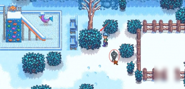 星露谷物语中的冬日谜题应如何破解？-详细攻略指南