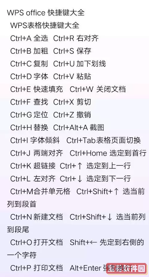 WPS办公软件中关于下划线的快捷操作详解及实用技巧总结
