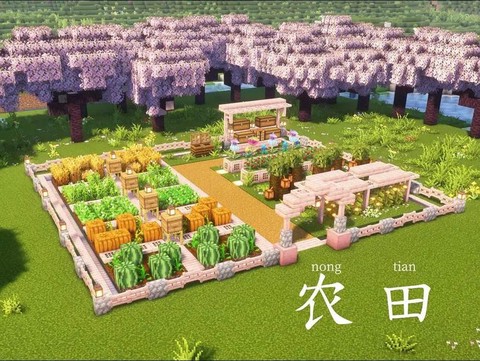 在《我的世界》中打造农田的具体步骤有哪些？