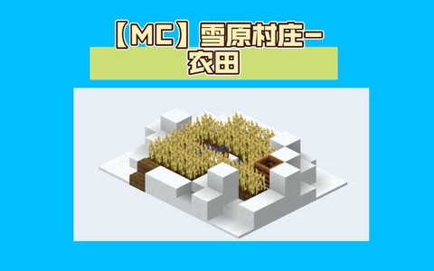 在《我的世界》中打造农田的具体步骤有哪些？