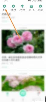 怎样利用形色app识别植物——形色app的植物鉴定方法详解 
