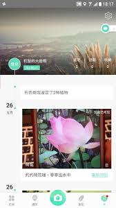 怎样利用形色app识别植物——形色app的植物鉴定方法详解 
