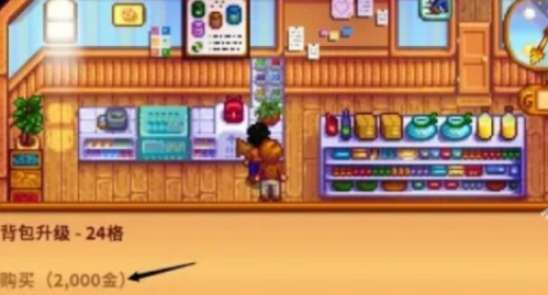 关于在《星露谷物语》中如何扩展背包容量的问题,本文将详细介绍增加背包格子的方法及步骤。
关于在《星露谷物语》中如何扩展背包容量的问题,本文将详细介绍增加背包格子的方法及步骤。