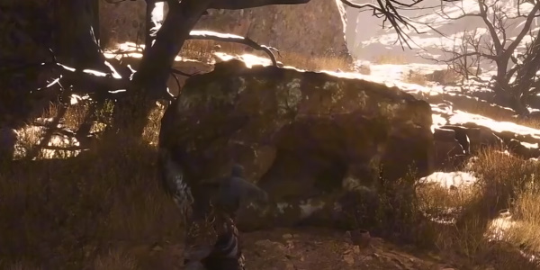 黑神话悟空中的如意画轴获取方式详尽指南-详解获得步骤 
