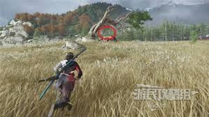 羊蹄山之魂不死武士任务线的完成攻略——详细操作指南
