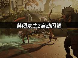 禁闭求生2启动时频繁闪退怎么办—解决禁闭求生2启动闪退的详细方法
