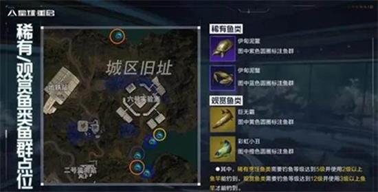 提升《星球重启》帧率的优化技巧——实现60帧稳定运行的方法详解