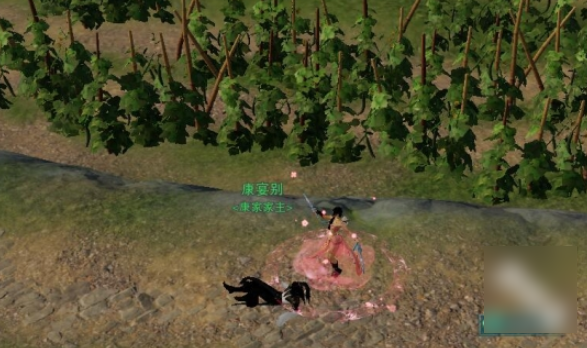 关于《剑网3》露园事宠物奇遇的完整操作指南——如何完成宠物奇遇任务