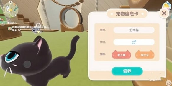 在心动小镇中如何养育宠物猫——详细攻略指南