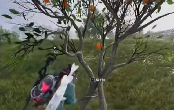 关于“七日世界”中橘子采集的具体地点，以下为详细介绍，帮助玩家轻松找到这一重要资源。 

