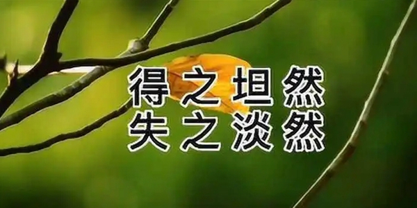 获得它心怀坦然，失去时亦是必然，努力追求，顺应自然——图片背景介绍

