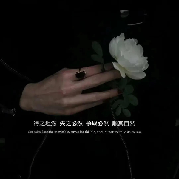 获得它心怀坦然，失去时亦是必然，努力追求，顺应自然——图片背景介绍


