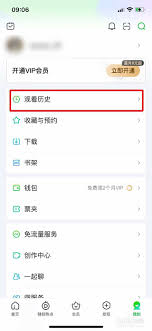 怎样在爱奇艺极速版中清除观看历史 - 删除观看记录的详细操作指南