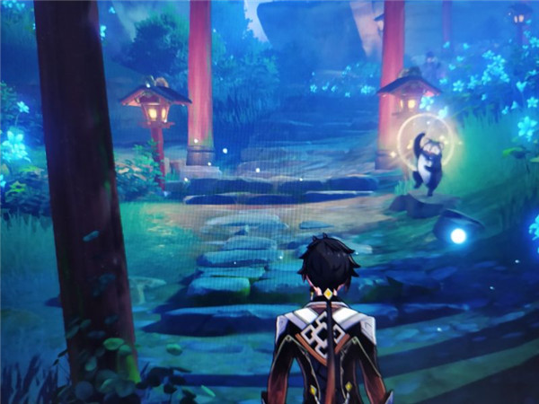 关于《原神》中的奇异声源追寻，全流程指南详尽解析